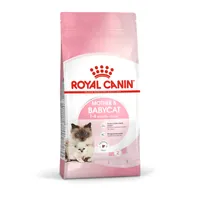 Royal Canin Mother & Babycat macskaeledel