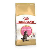 Royal Canin Breed Maine Coon Kitten macskaeledel