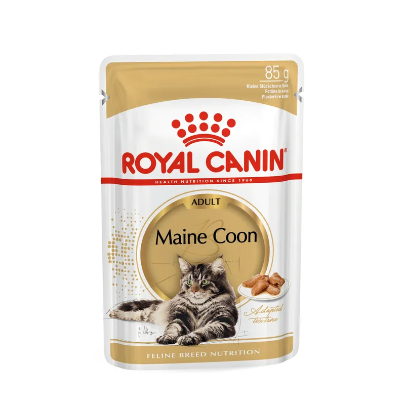 Royal Canin Breed Maine Coon macskaeledel